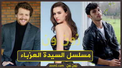 مسلسل السيدة العزباء