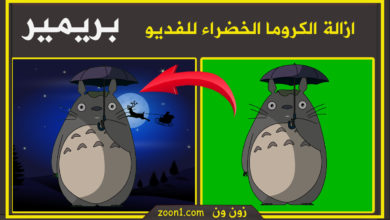 ازالة الكروما الخضراء