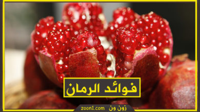 الرمان وفوائده