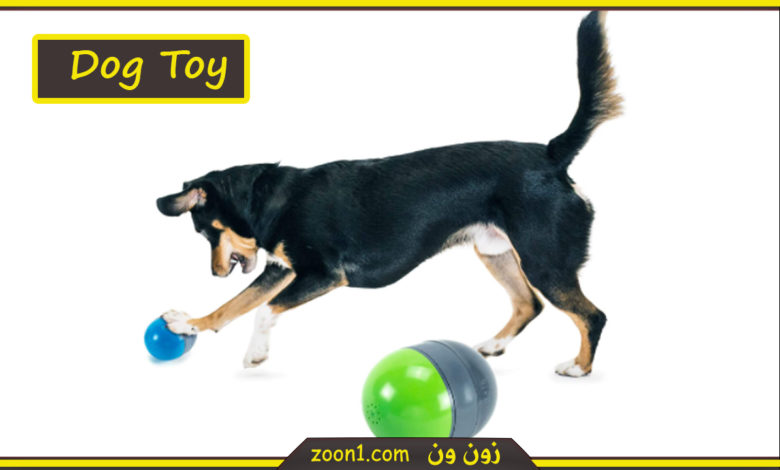 Dog Toy