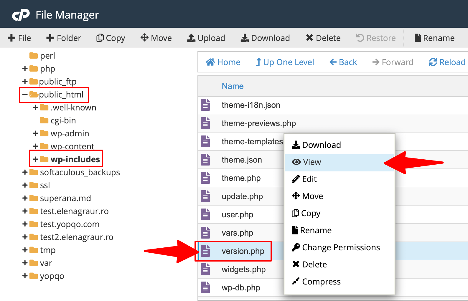 الإصدار. php في cpanel