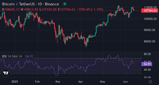 عيون Bitcoin 110 ألف دولار ، ولكن هذه الميموين الجديدة يمكن أن تجعل المستثمرين ثريين - 2