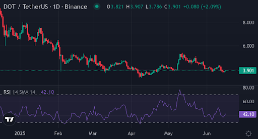 يفكر المستثمرون في الدوران من بولكادوت ، المضلع: قد يكون Xyzverse خيارًا أكثر حكمة - 2