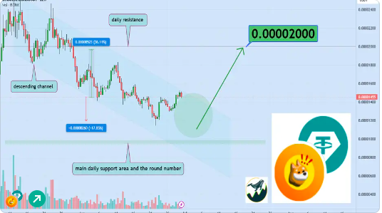 Bonk يقود سوق التشفير مع ربح 21 ٪ ، حيث تصب الحيتان في 180 ألف دولار - هل يتجمع 100 ٪ بعد ذلك؟